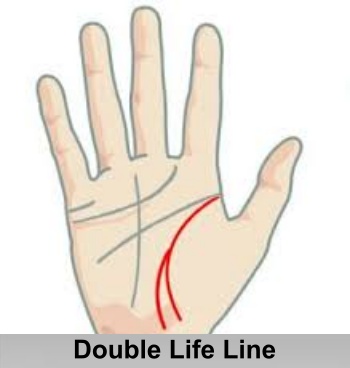 Life Line in Palmistry